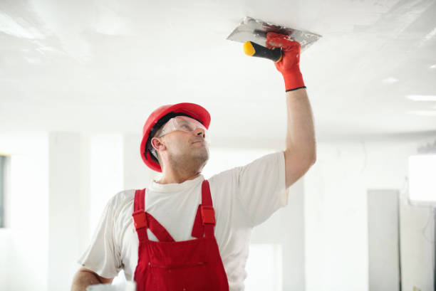 Trusted Haubstadt, IN Drywall & Painting Services Experts